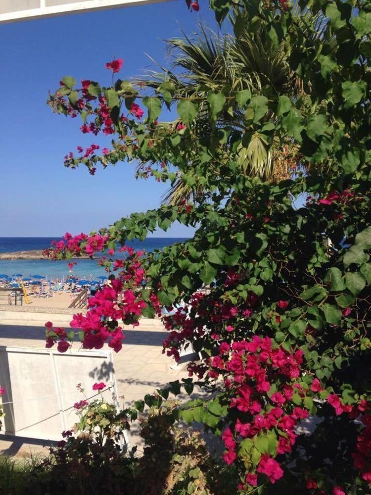 Blue Peter Apartments Protaras Buitenkant foto